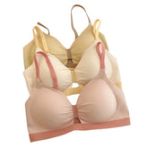 "Seamless Padded Wireless Bra for Women | Ultra Comfort Everyday Bralette Set